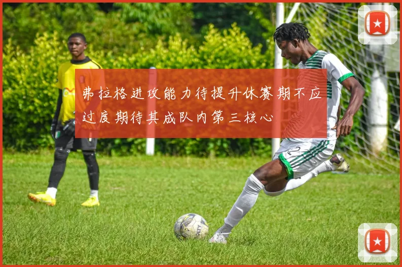 弗拉格进攻能力待提升休赛期不应过度期待其成队内第三核心
